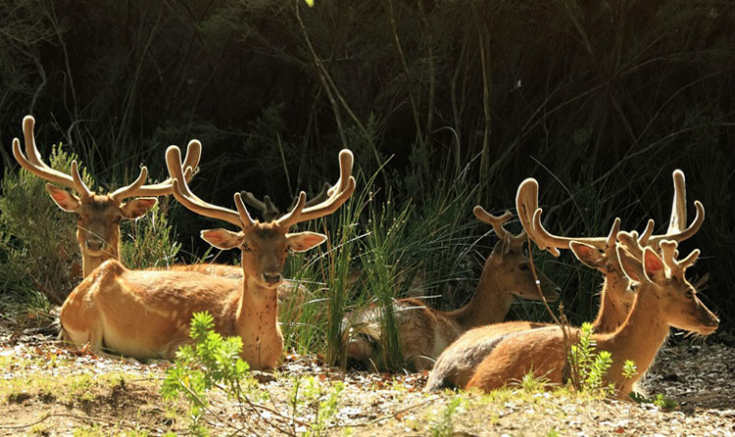 Lugar Tapada Nacional de Mafra