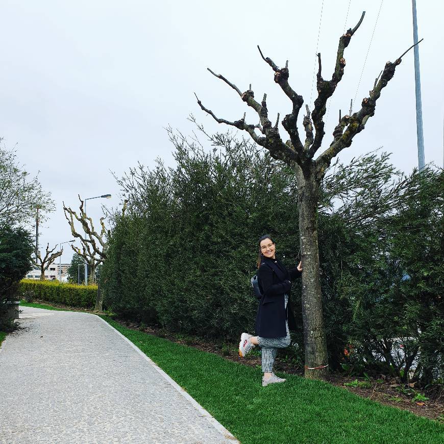 Place Marco de Canaveses