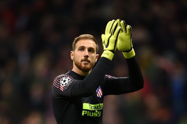 Fashion Oblak 