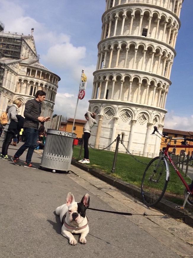 Place Pisa