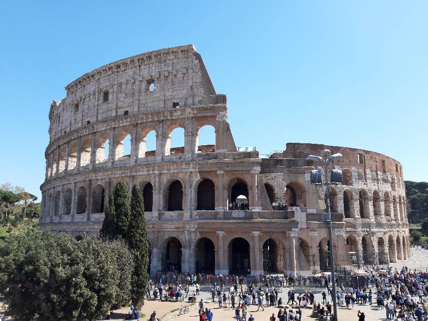 Lugar Coliseo de Roma