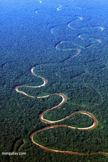 Amazonas