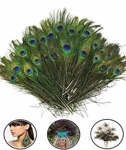 Home SKL 100pcs Plumas de Pavo Real