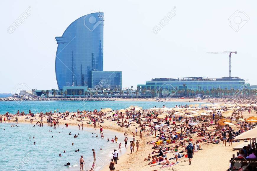 Lugar Playa de la Barceloneta