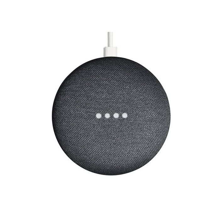 Social Google Home Mini