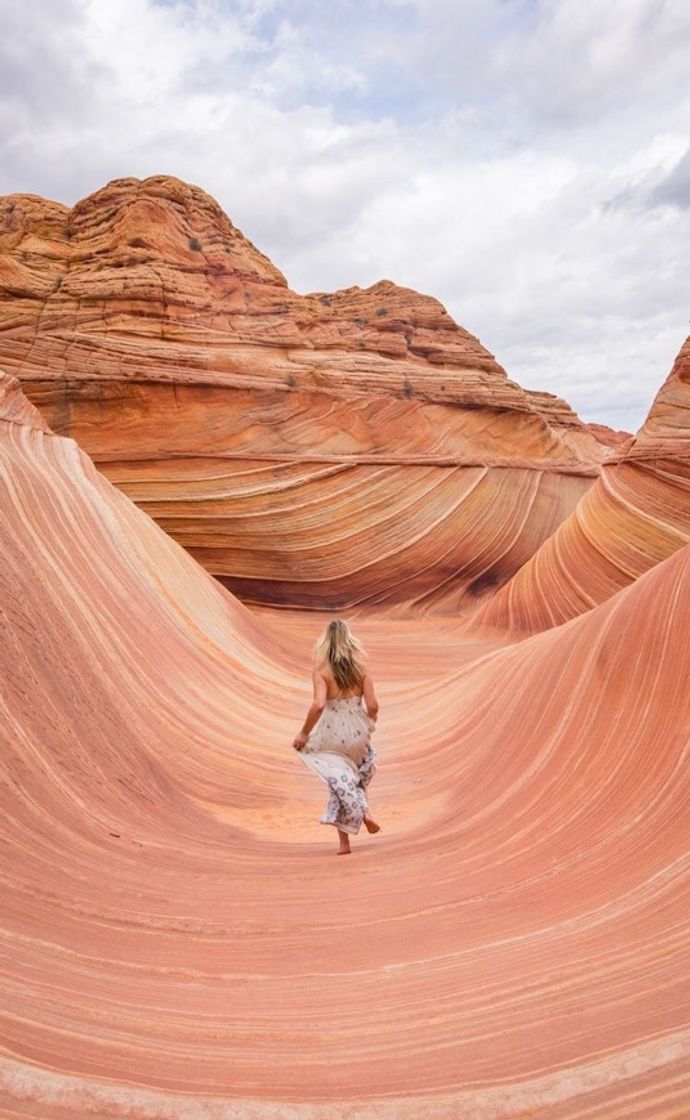 Moda Wave, Arizona