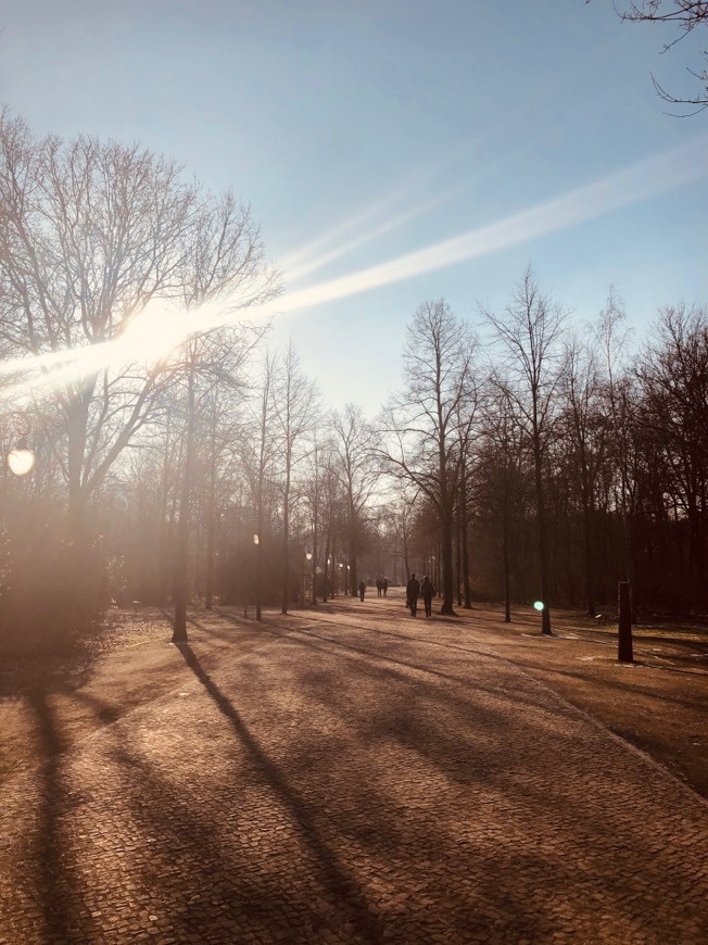 Lugar Tiergarten