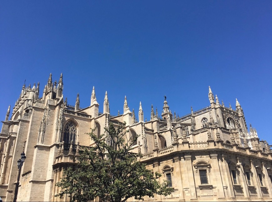 Place Catedral de Sevilla