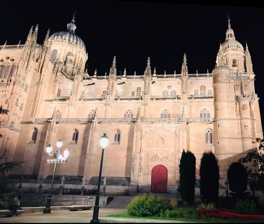 Place Catedral de Salamanca