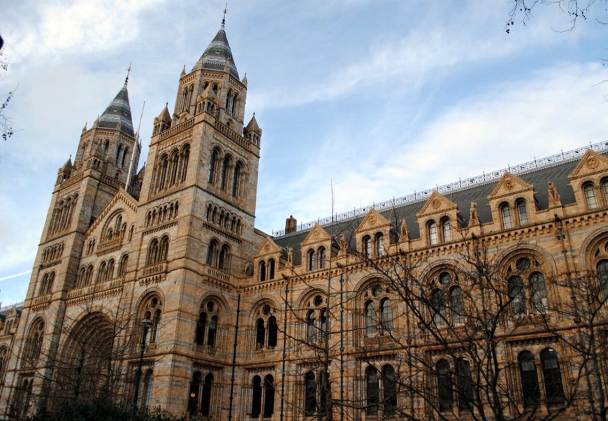 Place Natural History Museum