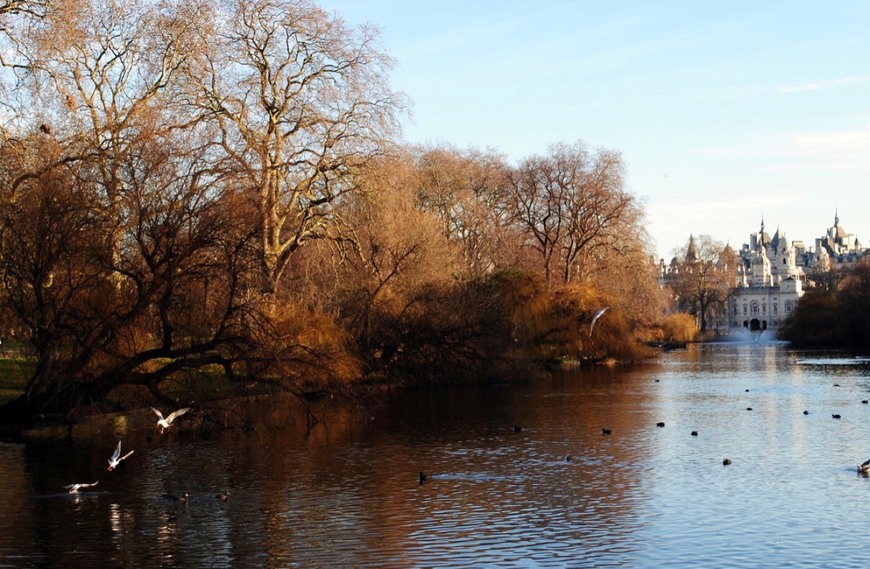 Place St. James's Park