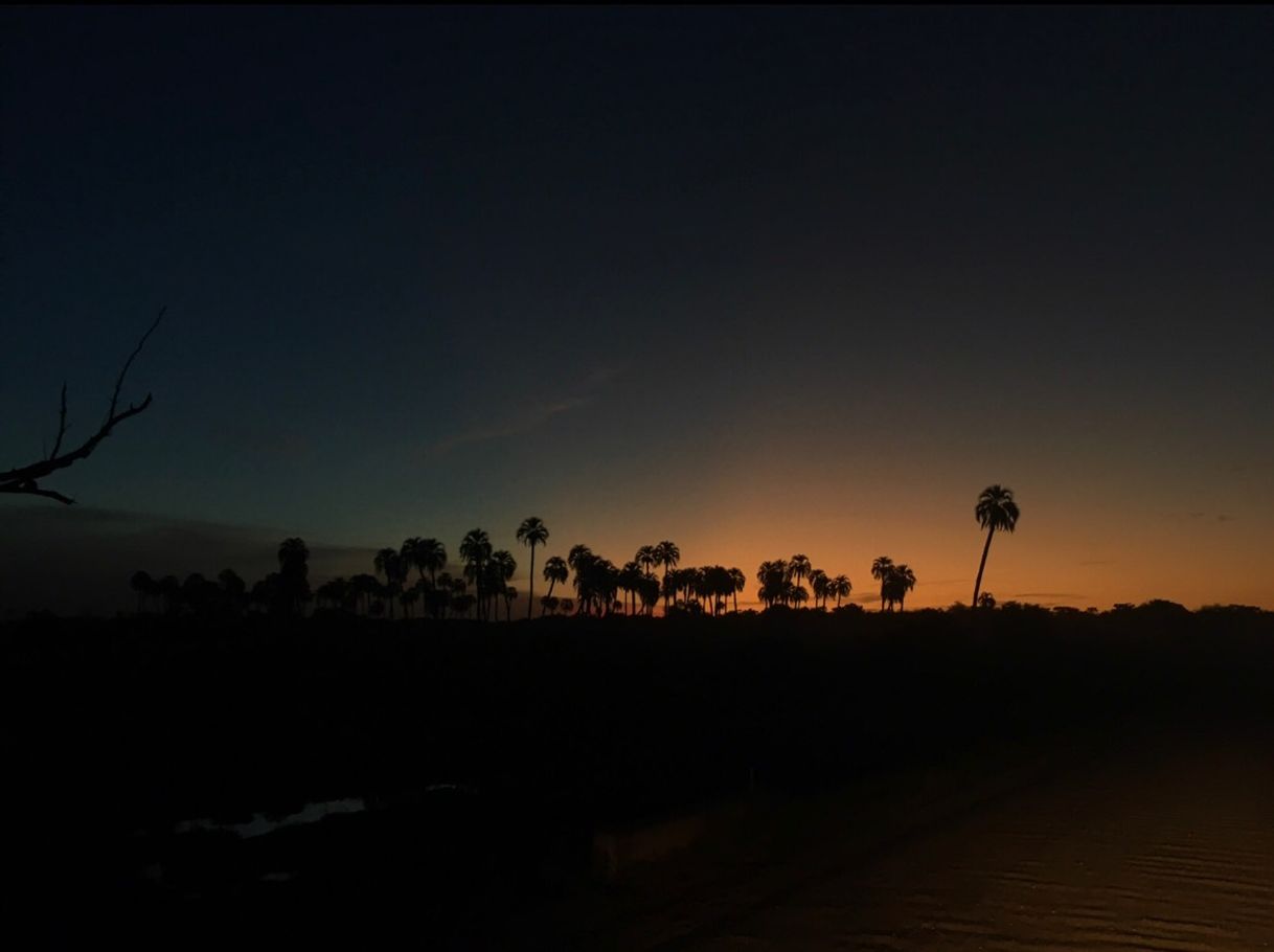 Place Parque Nacional El Palmar