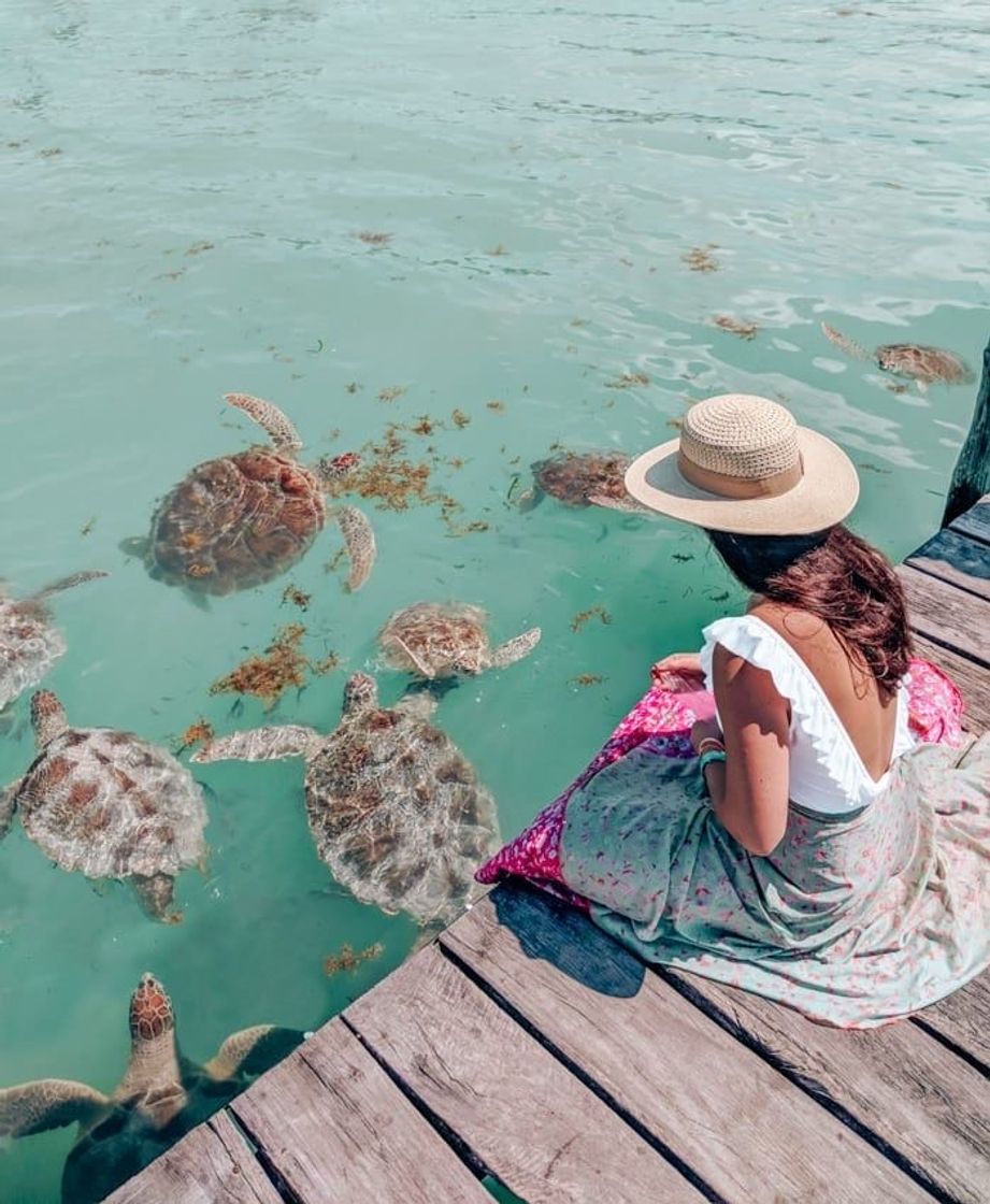 Lugar Cancún