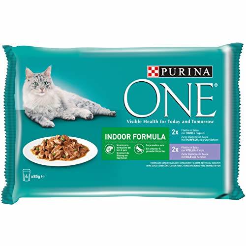 Producto Purina One Indoor Formula filettini