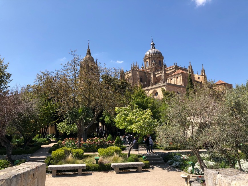 Lugar Huerto de Calixto y Melibea