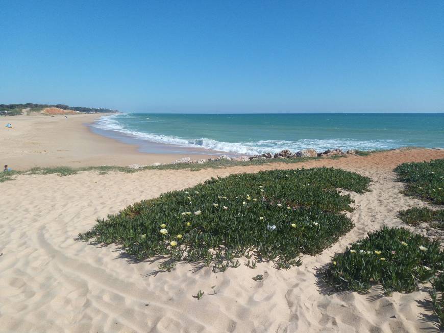 Lugar Praia de Quarteira