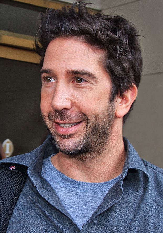 Fashion David Schwimmer