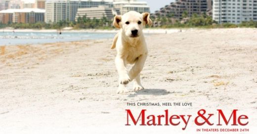 Marley & Me: The Puppy Years