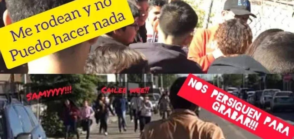 Social Entretenimiento 