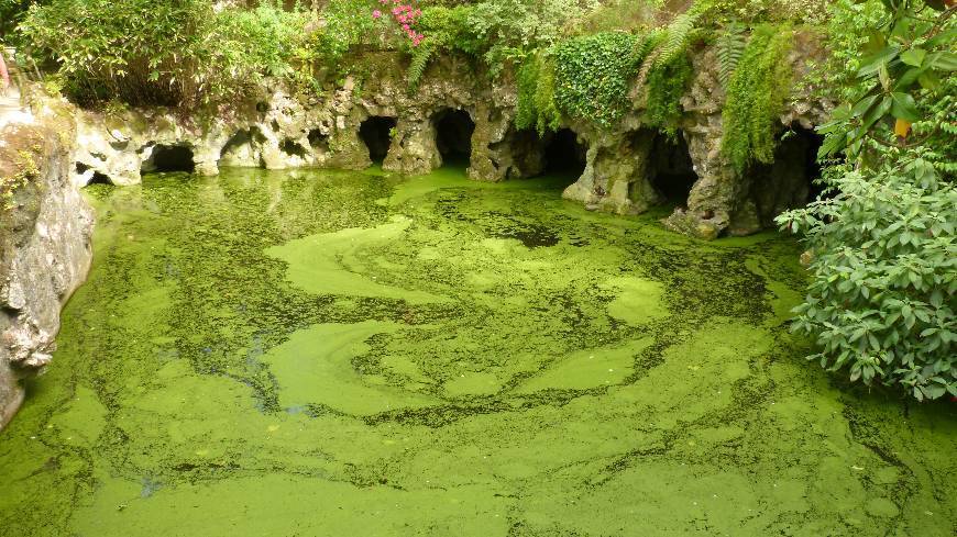 Lugar Quinta da Regaleira