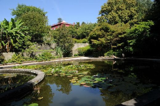 Jardín Botánico de la Universidad de Oporto