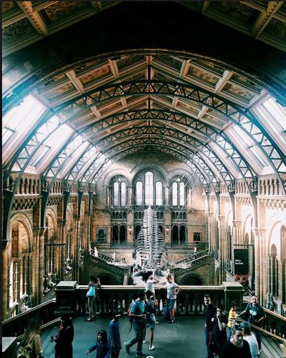 Natural History Museum