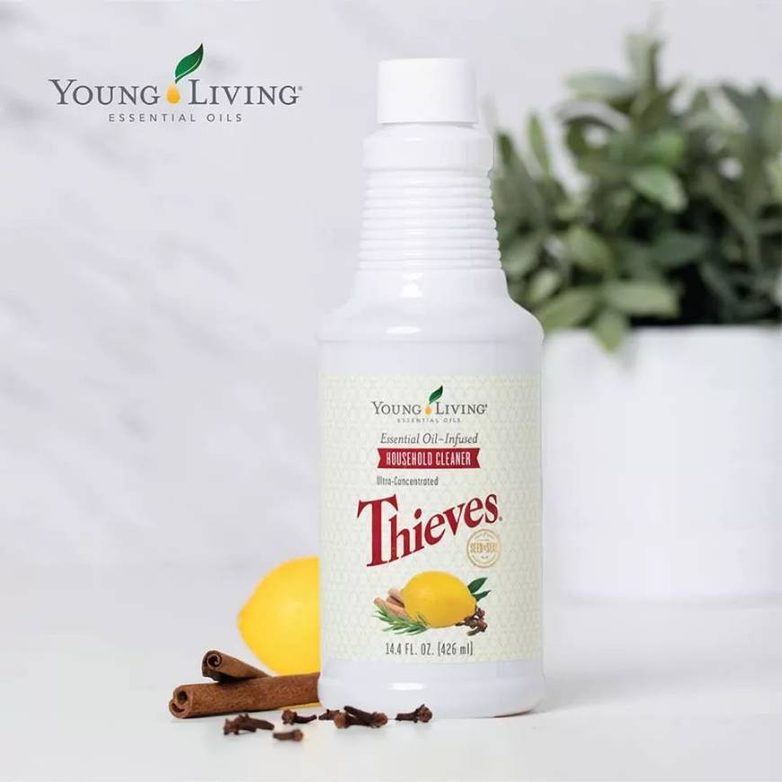 Products Thieves Household Cleaner
🌿