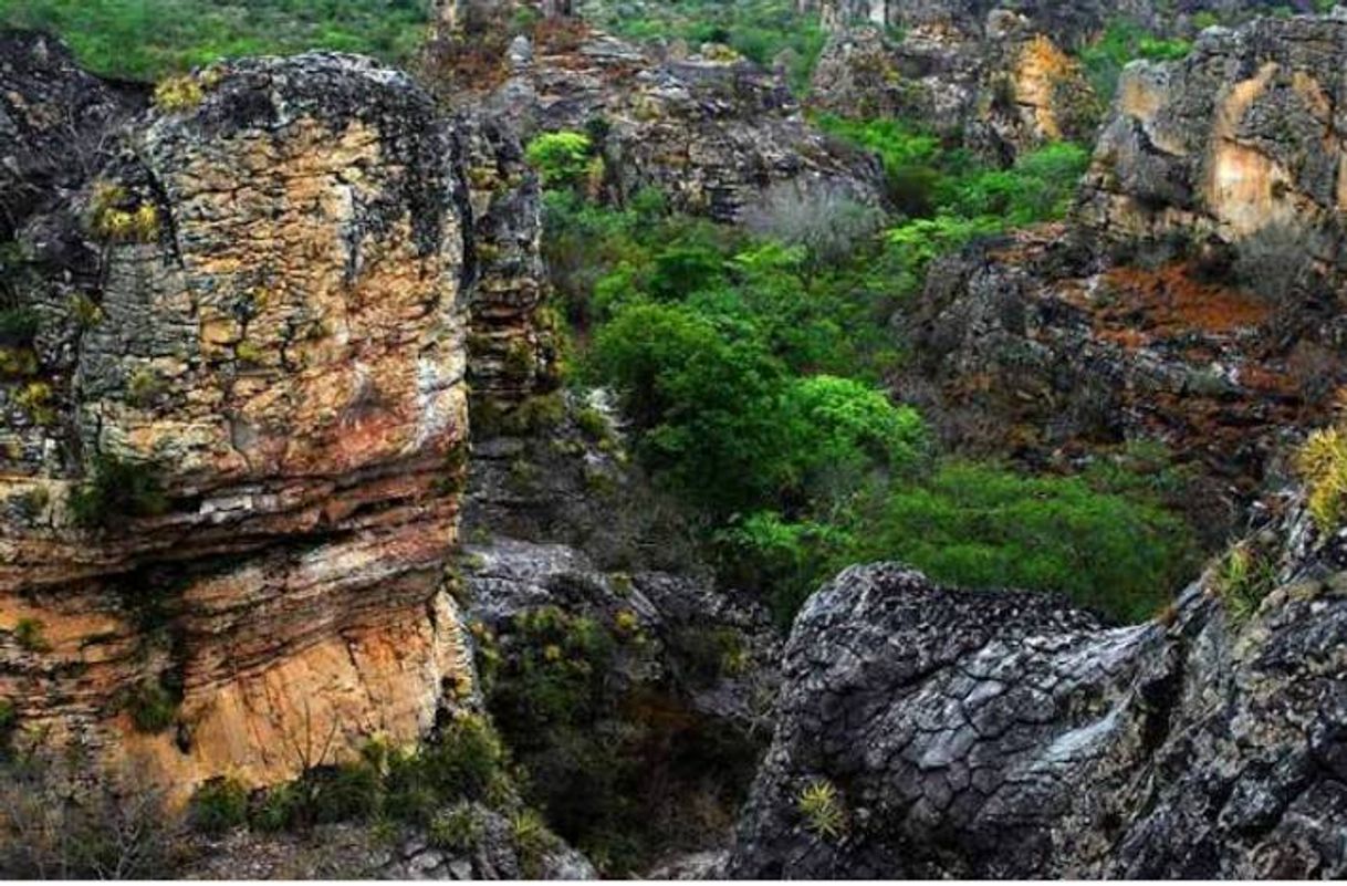 Fashion Idepi retoma obra que facilitará acesso ao Parque Nacional de Sete ...