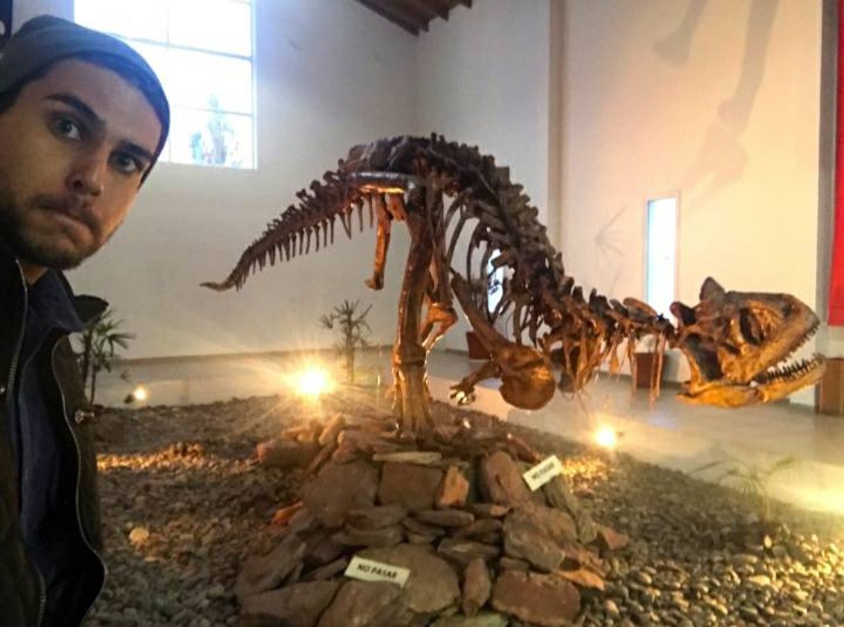 Place Villa El Chocón