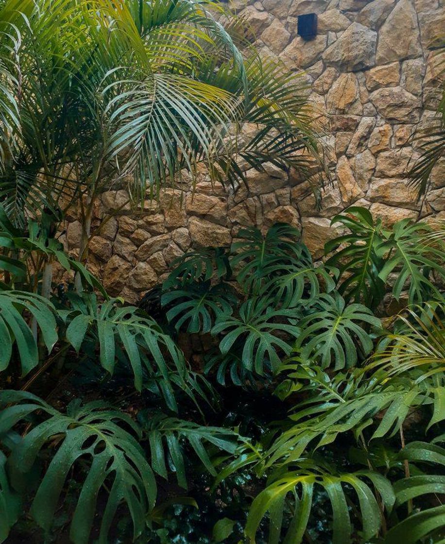 Social Detalhes de um Jardim 