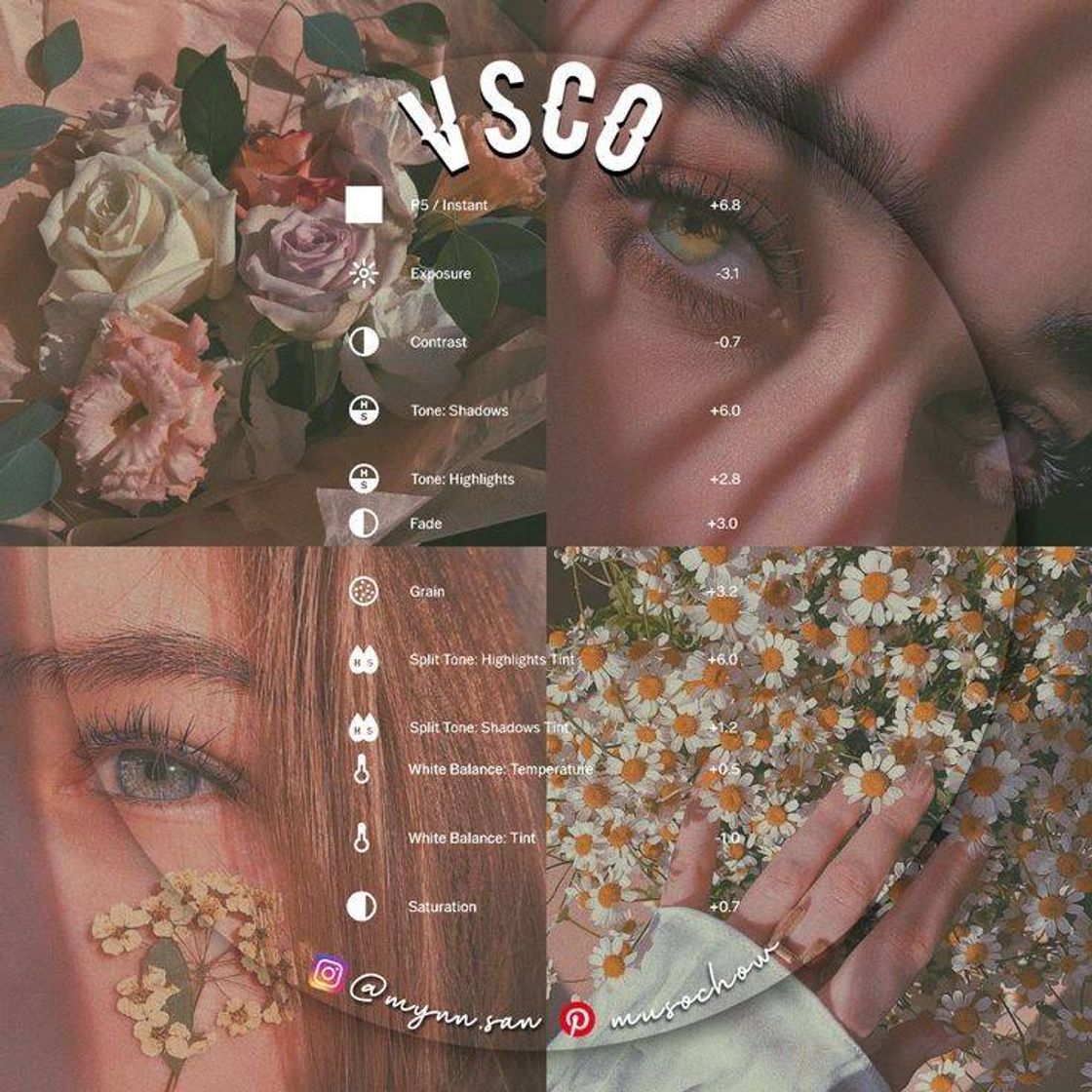 Fashion Preset VSCO