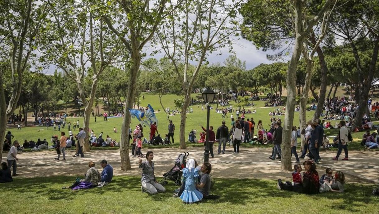 Place Parque de San Isidro
