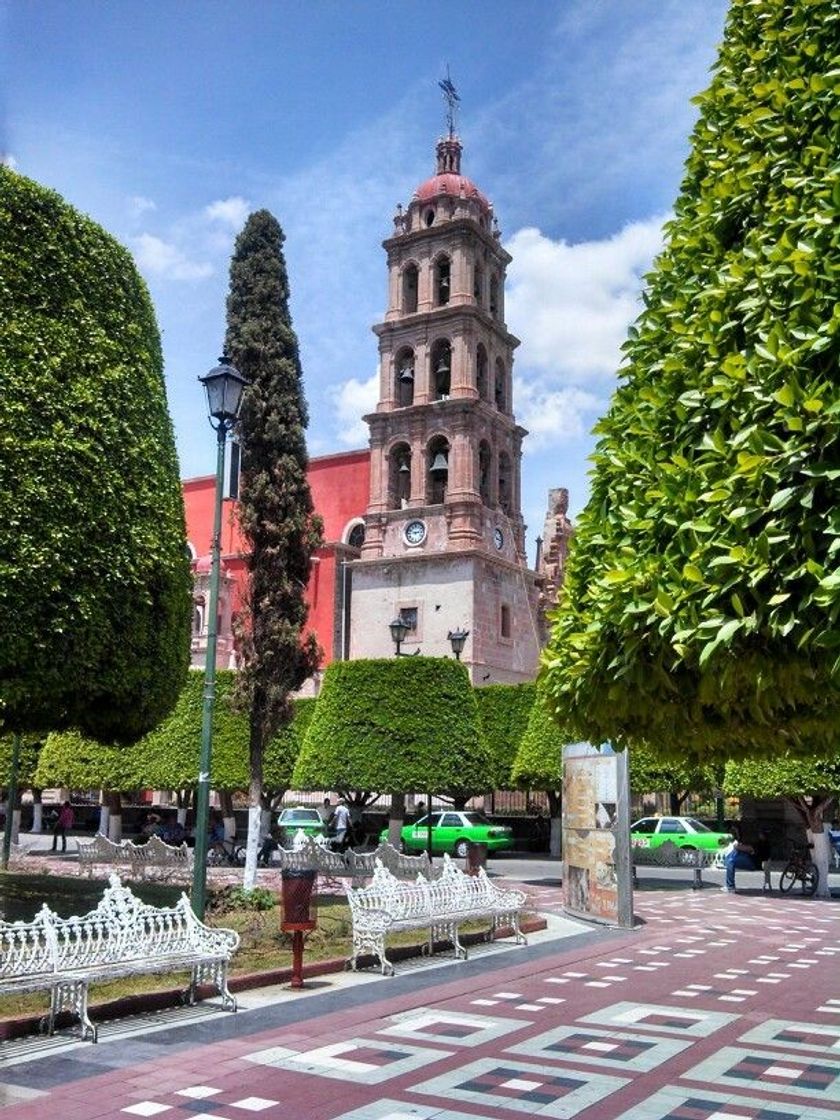 Place Silao