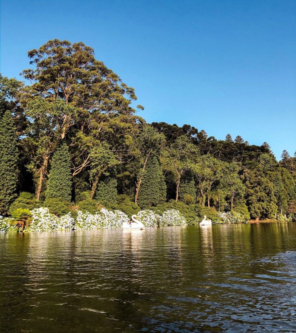 Lugar Lago negro