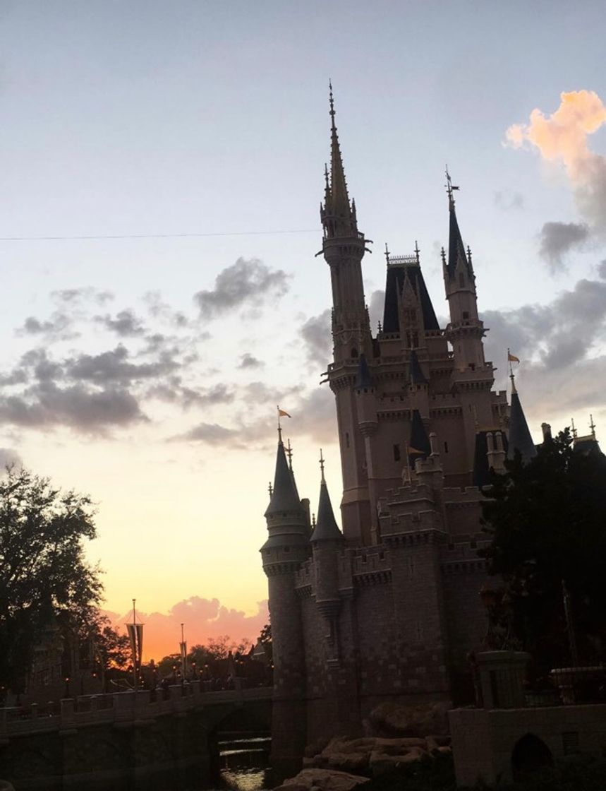 Place Magic Kingdom Park