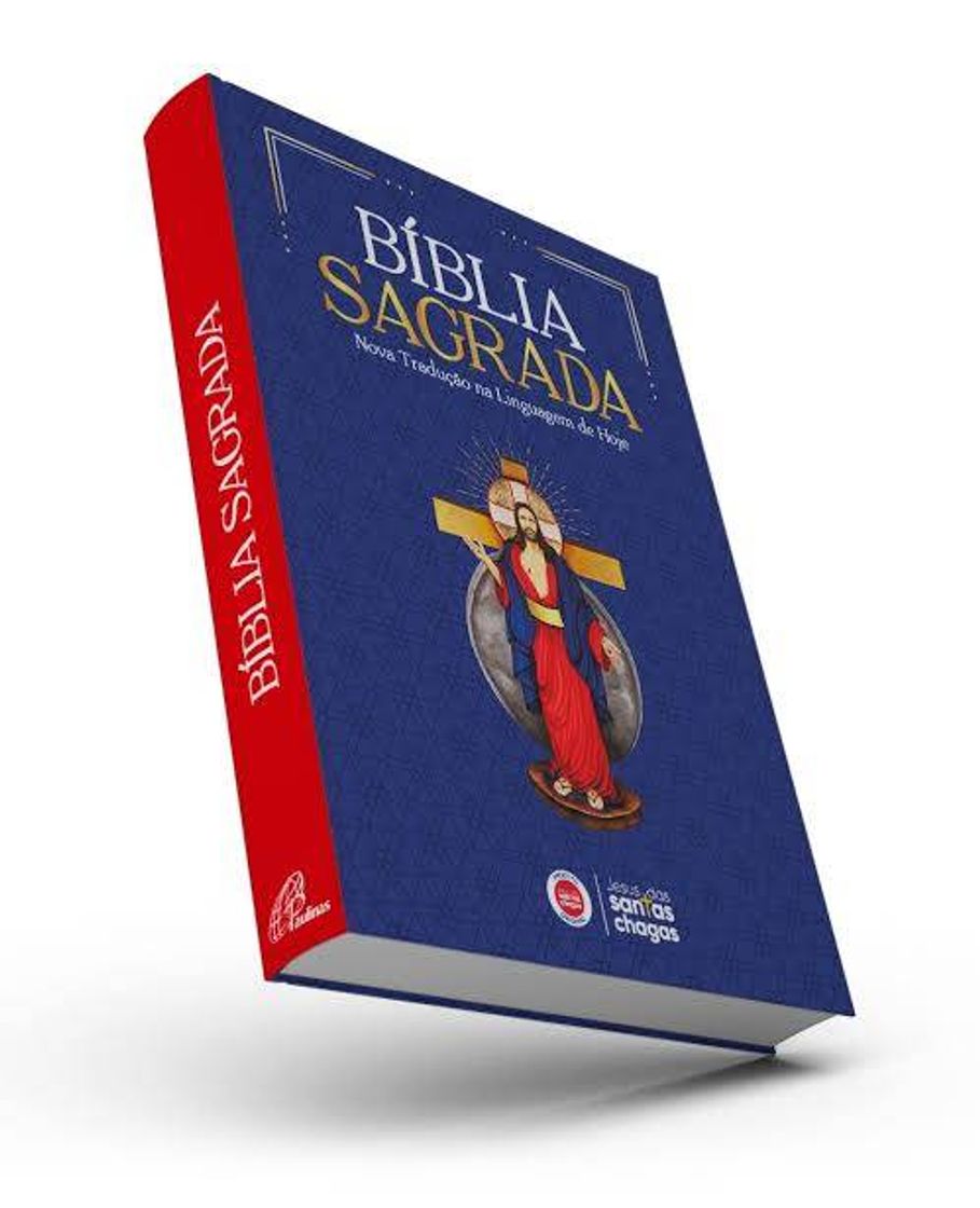 Book Bíblia de Jesus das Santas Chagas Padre Reginaldo Manzotti