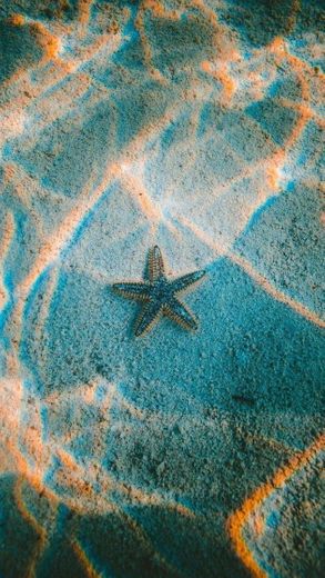 Estrela do mar ⭐