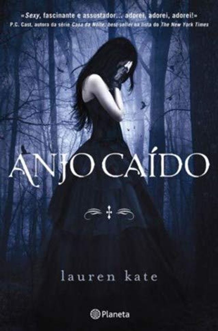 Libro Anjo Caído