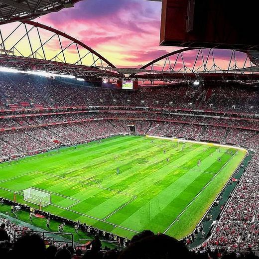 Place SL Benfica: Site Oficial do Sport Lisboa e Benfica