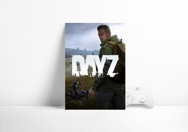 Videogame DayZ