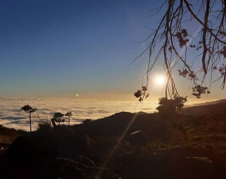 Lugar Posto Florestal Fanal