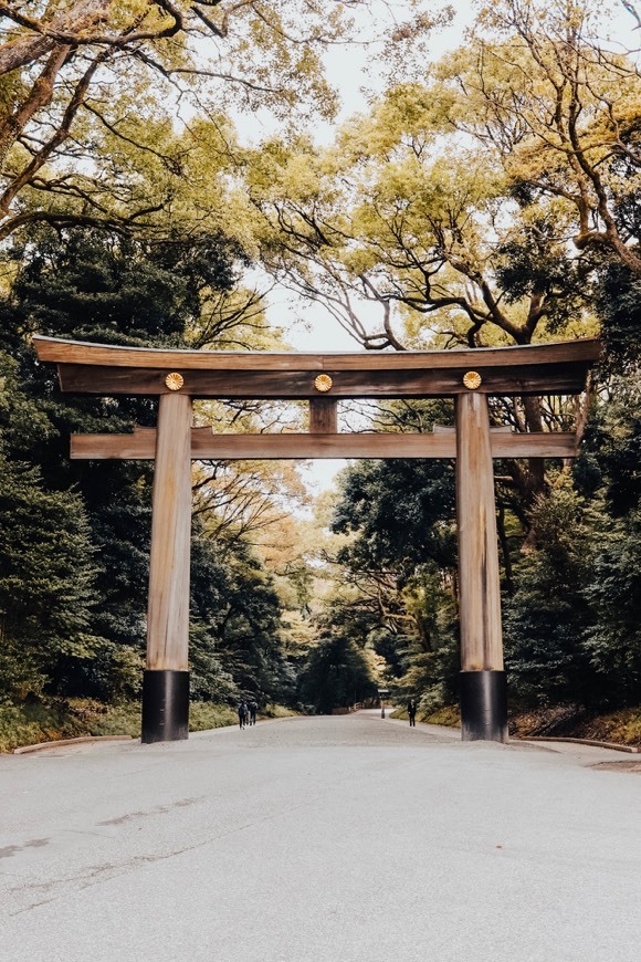 Lugar Meiji Shrine