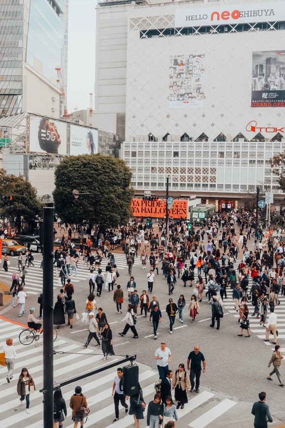 Place Shibuya Crossing