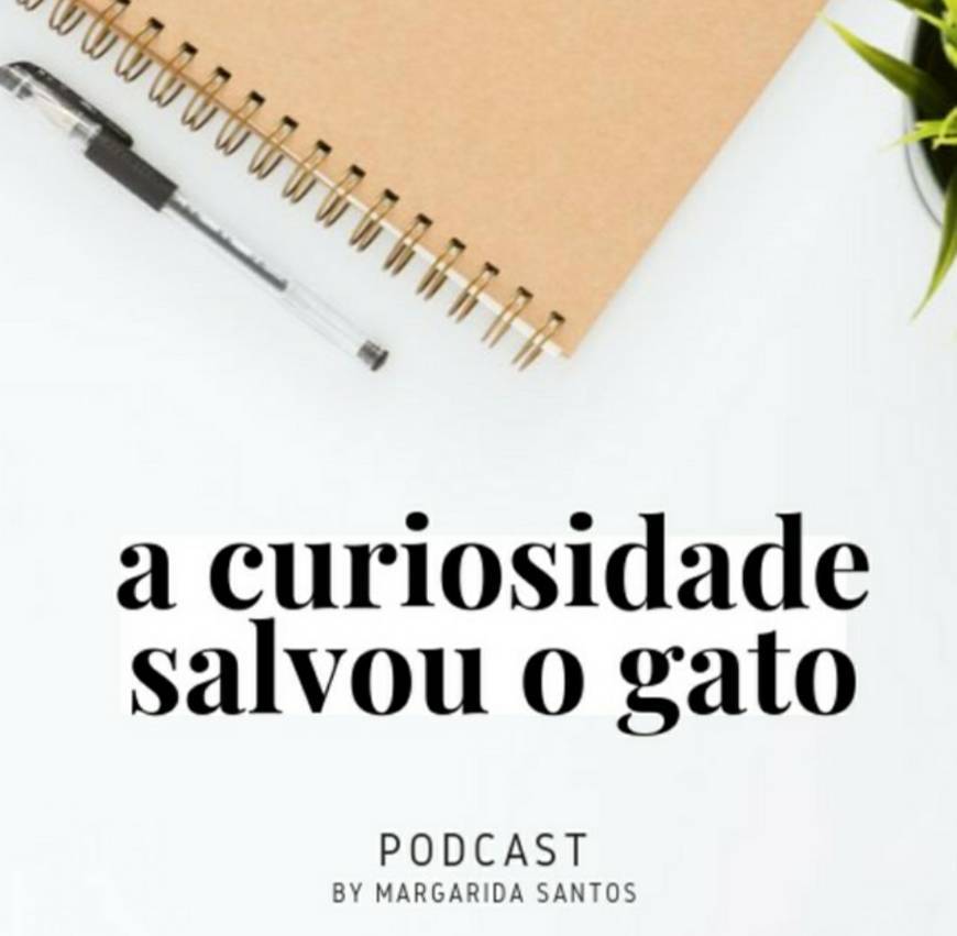 Moda A Curiosidade Salvou o Gato