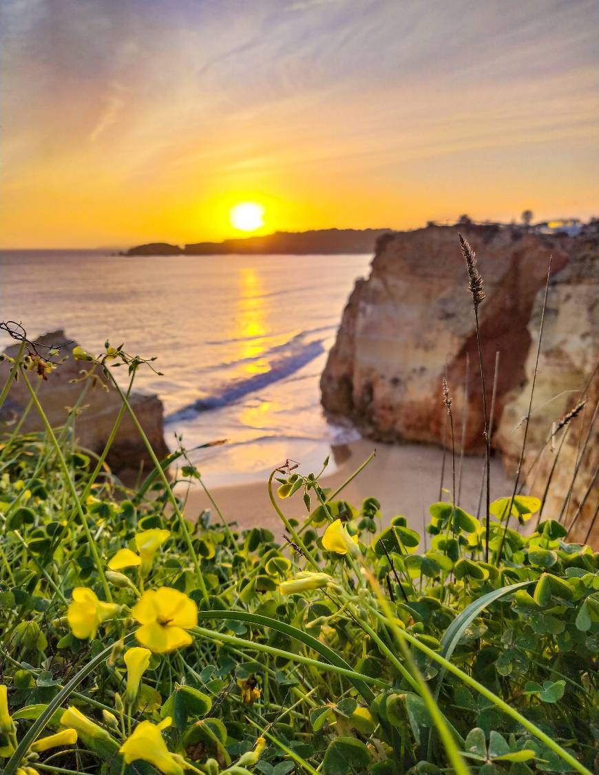 Place Praia dos Careanos