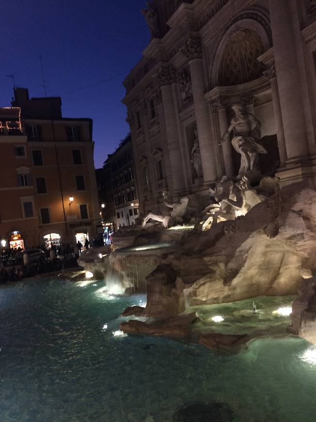 Place Fontana di Trevi