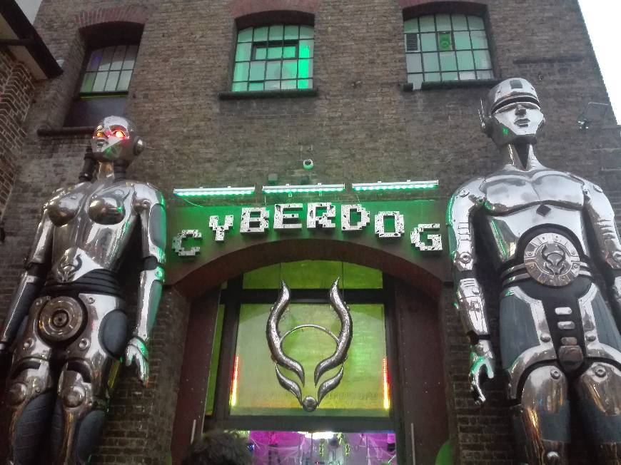 Restaurants Cyberdog