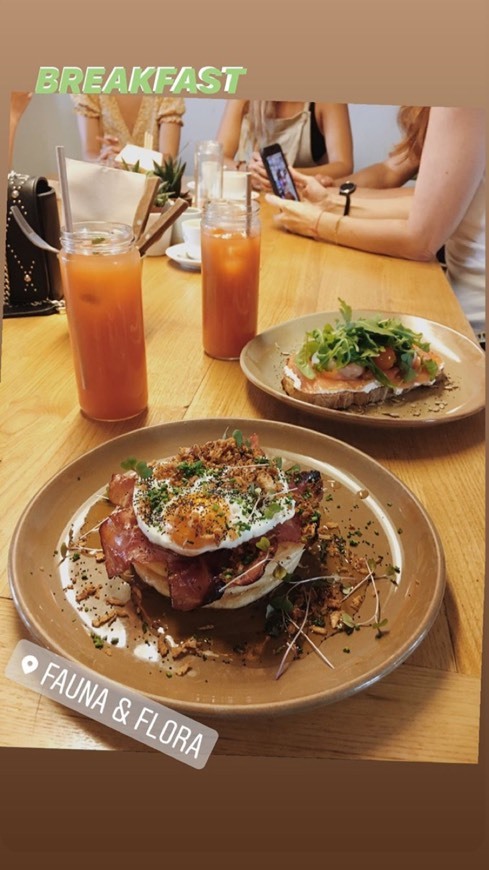 Restaurants FAUNA & FLORA