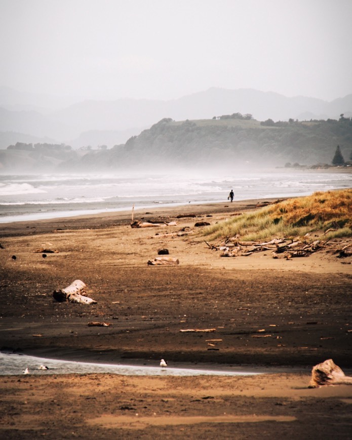 Place Ohope Beach