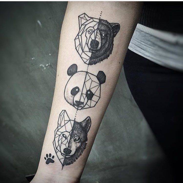 Moda Urso, Panda, Lobo 